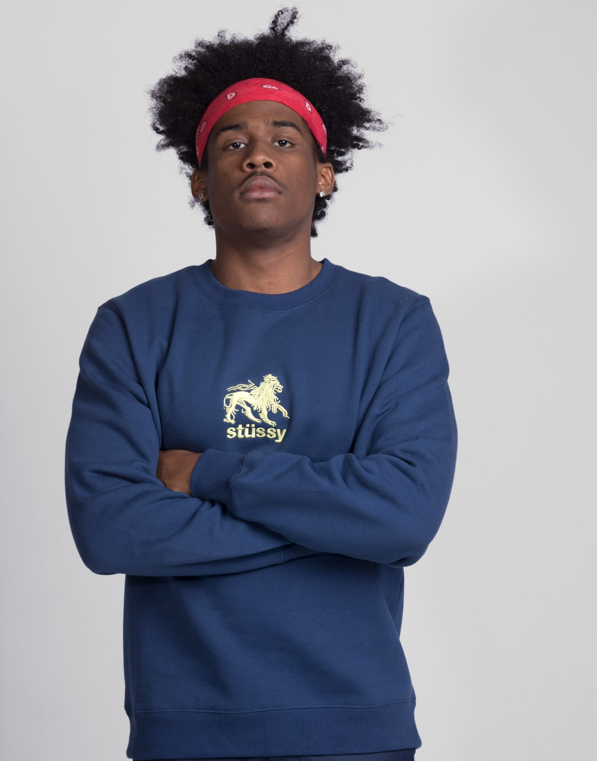 Lion App. Crew