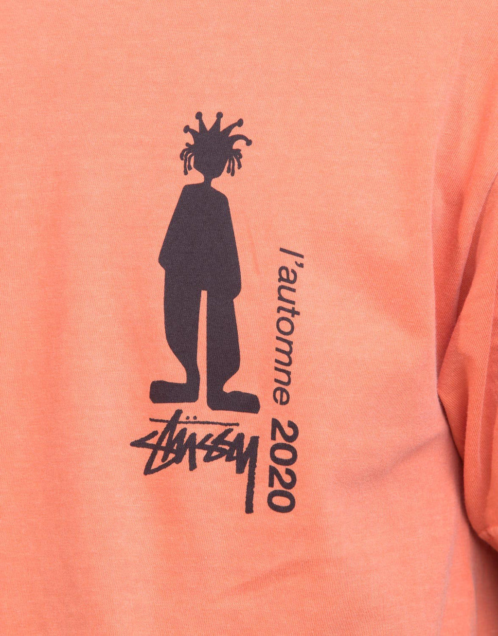 Delusion Pig. Dyed Tee