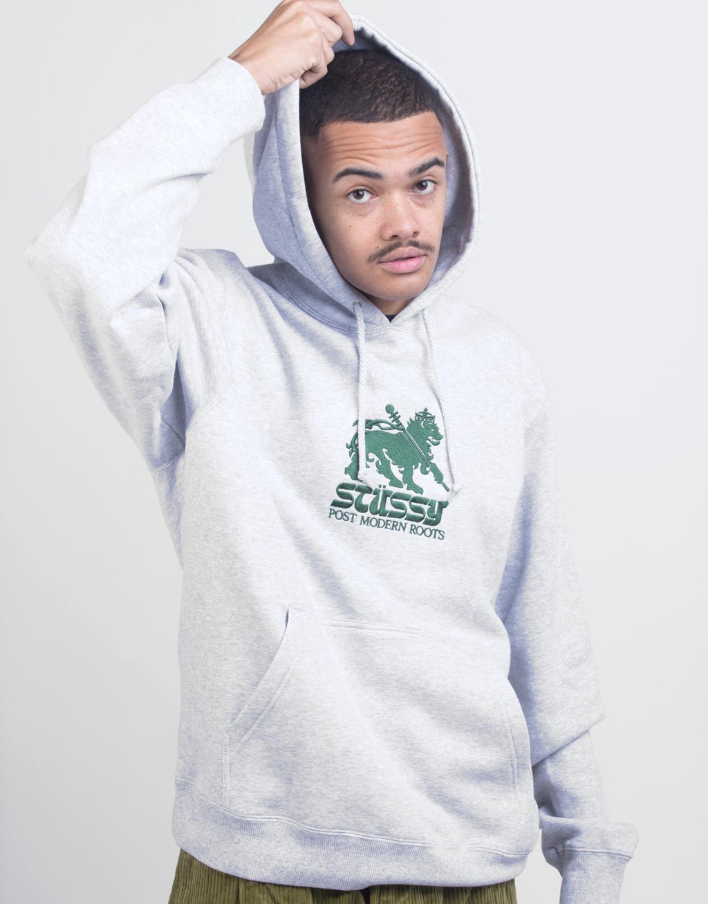 Stüssy Lion App. Hoodie