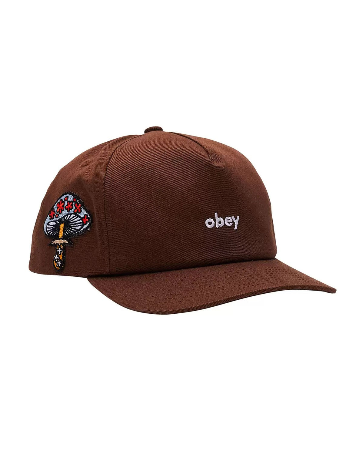 Frank 5 Panel Snapback