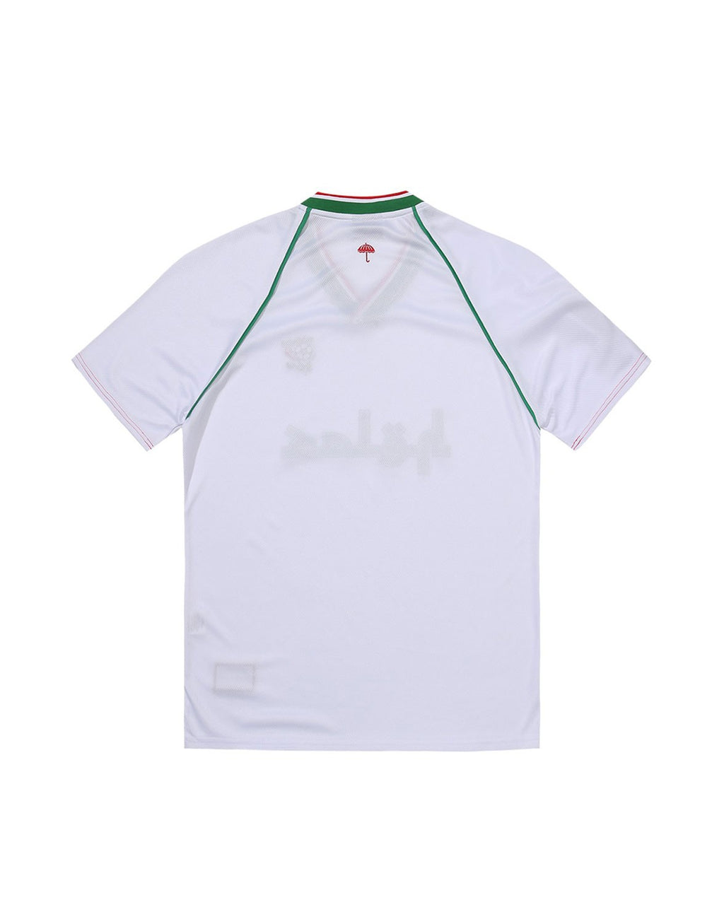 Algeria WC22 Football Jersey