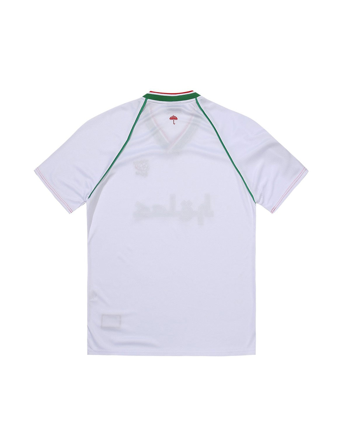 Algeria WC22 Football Jersey